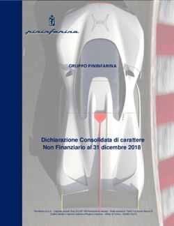 GRUPPO PININFARINA - Dichiarazione Consolidata di carattere Non Finanziario al 31 dicembre 2018