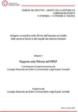 Rapporto sulla Riforma dell'IRPEF - Senato