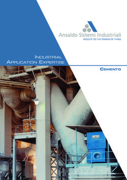 INDUSTRIAL APPLICATION EXPERTISE - CEMENTO