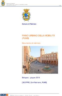 PIANO URBANO DELLA MOBILIT&Agrave; (PUMS) - Documento di indirizzo - Bologna | giugno 2018 3637PRO_ComFabriano_PUMS - Comune di Fabriano
