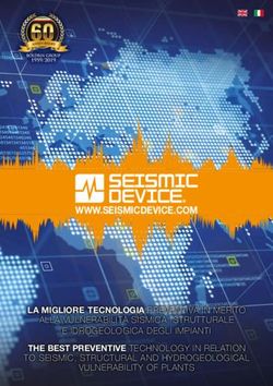 WWW.SEISMICDEVICE.COM - LA MIGLIORE TECNOLOGIA PREVENTIVA IN MERITO ALLA VULNERABILIT&Agrave; SISMICA, STRUTTURALE - BEMA INSTRUMENTS