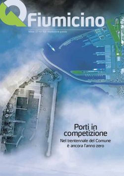 Porti in competizione - Nel trentennale del Comune &egrave; ancora l'anno zero - QFiumicino.com
