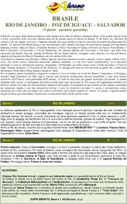 BRASILE RIO DE JANEIRO - FOZ DE IGUACU - SALVADOR - Aleramo Viaggi