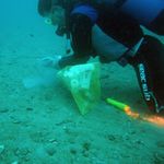 ECOSS ECOlogical Observing System in the Adriatic Sea: oceanographic observations for biodiversity - Fondi europei e cooperazione internazionale