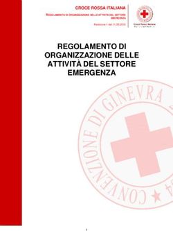 REGOLAMENTO DI ORGANIZZAZIONE DELLE ATTIVIT&Agrave; DEL SETTORE EMERGENZA - CROCE ROSSA ITALIANA