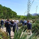 BILANCIO INTEGRATO 20 20 - UNITUS