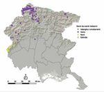 Bausinve_2019 Stato fitosanitario delle foreste del Friuli Venezia Giulia - inventario fitopatologico forestale regionale - Ersa