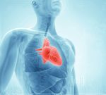 UN'OPPORTUNIT&Agrave; PER POTER TORNARE A GODERSI LA VITA! - VALVOLE-CARDIACHE.CH - malattie ...