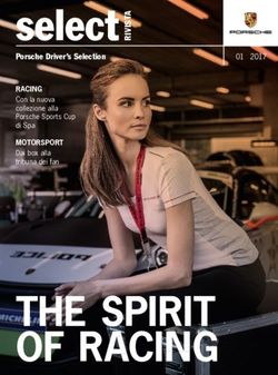 Select - THE SPIRIT - Porsche Driver's Selection