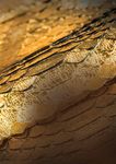 TECH - Machinery Tanneries Tanning Chemicals The excellence of "Made in Italy"