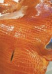 TECH - Machinery Tanneries Tanning Chemicals The excellence of "Made in Italy"
