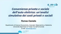 Convenienza privata e sociale dell'auto elettrica: un'analisi simulativa dei costi privati e sociali - Class Onlus
