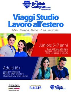 Viaggi Studio Lavoro all'estero - Asei School