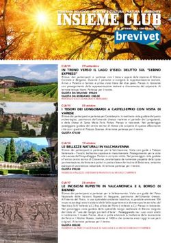 IN TRENO VERSO IL LAGO D'ISEO: DELITTO SUL "SEBINO EXPRESS"