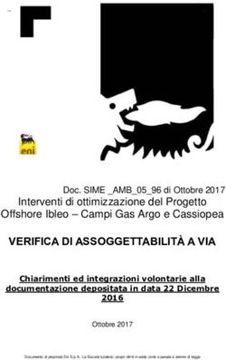 VERIFICA DI ASSOGGETTABILITÀ A VIA - Interventi di ottimizzazione del Progetto Offshore Ibleo - Campi Gas Argo e Cassiopea
