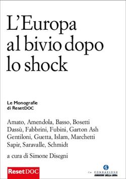 L'Europa al bivio dopo lo shock - Amato, Amendola, Basso, Bosetti Dassù, Fabbrini, Fubini, Garton Ash Gentiloni, Guetta, Islam, Marchetti Sapir ...