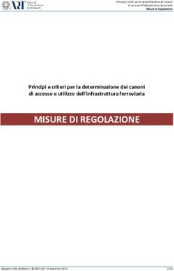 MISURE DI REGOLAZIONE - Principi e criteri per la determinazione dei canoni di accesso e utilizzo dell'infrastruttura ferroviaria
