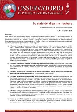 Lo stato del disarmo nucleare - Iai