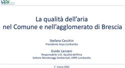 La qualit&agrave; dell'aria nel Comune e nell'agglomerato di Brescia - Stefano Cecchin Guido Lanzani