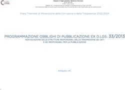 PROGRAMMAZIONE OBBLIGHI DI PUBBLICAZIONE EX D.LGS. 33/2013 - LAZIOcrea