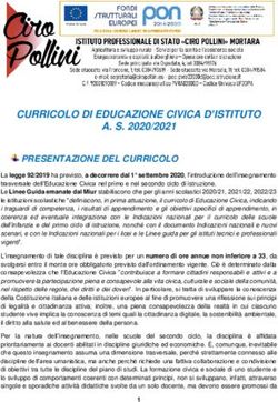 CURRICOLO DI EDUCAZIONE CIVICA D'ISTITUTO A. S. 2020/2021