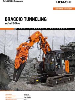 BRACCIO TUNNELING Serie ZAXIS-5 Girosagoma - Scai Spa