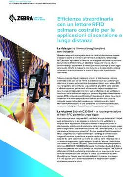 Efficienza straordinaria con un lettore RFID palmare costruito per le applicazioni di scansione a lunga distanza - Barware