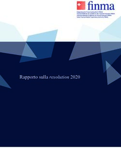 Rapporto sulla resolution 2020 - Finma
