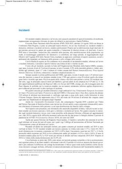 Incidenti - Osservatorio Nazionale sulla Salute nelle Regioni ...