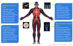 Healthcare 4.0 Trasformazioni nel settore farmaceutico - Elisabetta Pozzetti Workshop Universit&agrave; Campus Biomedico Roma