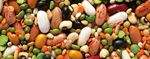 CATALOGO PRODOTTI 2018 - MADE IN TUSCANY - Terre di Loppiano
