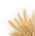 CATALOGO PRODOTTI 2018 - MADE IN TUSCANY - Terre di Loppiano