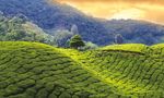 MERCATI EMERGENTI: UNA STORIA SECOLARE - GLOBAL OUTLOOK 2020 - Indosuez Wealth Management