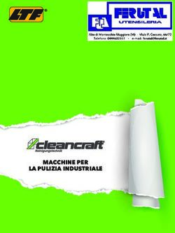MACCHINE PER LA PULIZIA INDUSTRIALE - Ferutal