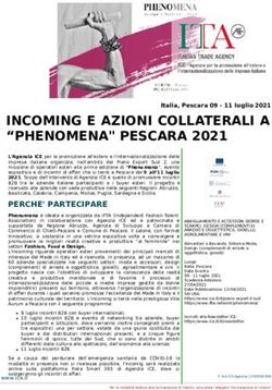 INCOMING E AZIONI COLLATERALI A "PHENOMENA" PESCARA 2021 - Agenzia ICE