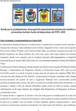 Bando per la predisposizione di progetti di animazione/intrattenimento turistico e promozione turistica locale ad integrazione del PTPL 2018 - Rimini