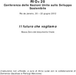 RIO+20 Conferenza delle Nazioni Unite sullo Sviluppo - Scienza in rete