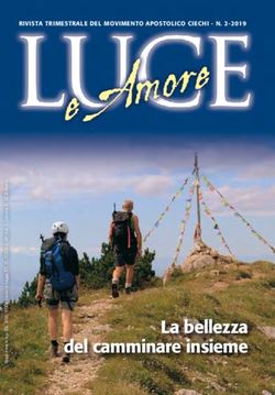 La bellezza del camminare insieme - RIVISTA TRIMESTRALE DEL MOVIMENTO APOSTOLICO CIECHI - N. 2-2019 - Movimento ...