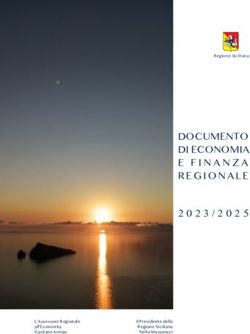 DOCUMENTO DI ECONOMIA E FINANZA REGIONALE - Regione Siciliana - L'Assessore Regionale all'Economia Gaetano Armao