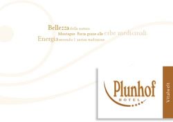 Bellezza della natura. Montagne. Forza grazie alle erbe medicinali.