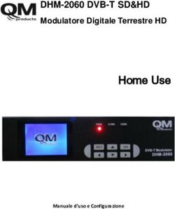 Home Use DHM-2060 DVB-T SD&HD - Modulatore Digitale Terrestre HD