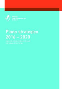 Piano strategico 2016 2020 - Approvata dall'assemblea dei delegati il 28 maggio 2016 a Zurigo - SGB-FSS