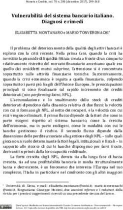 Vulnerabilità del sistema bancario italiano. Diagnosi e rimedi - CORE
