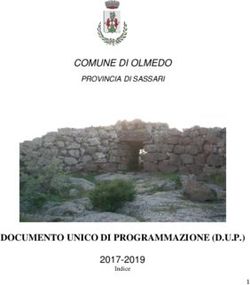 DOCUMENTO UNICO DI PROGRAMMAZIONE (D.U.P.) - COMUNE DI OLMEDO 2017-2019
