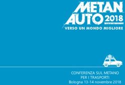 CONFERENZA SUL METANO PER I TRASPORTI - Bologna 13-14 novembre 2018 - Federmetano