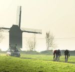 Una piccola regione di grandi storie - Fiandre - Visit Flanders