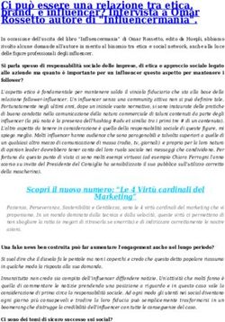 Rossetto autore di "Influencermania".