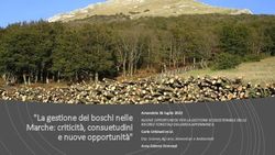 "La gestione dei boschi nelle Marche: criticit&agrave;, consuetudini e nuove opportunit&agrave;" - CIA Marche
