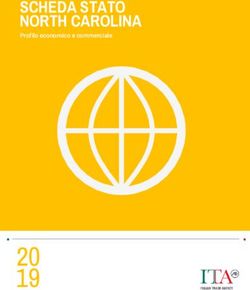 20 SCHEDA STATO NORTH CAROLINA Profilo economico e commerciale