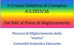II Circolo Didattico di Ciampino - A.S.2015/16 Dal RAV al Piano di Miglioramento Percorsi di Miglioramento della "nostra" Comunità Scolastica ...